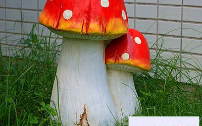 公園草坪兩頭紅色玻璃鋼材質蘑菇雕塑